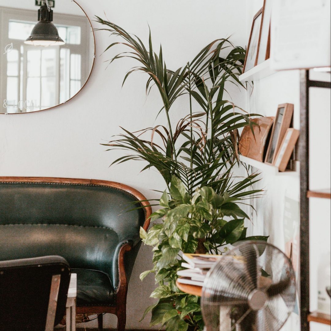 Hablemos de estilos de decoración