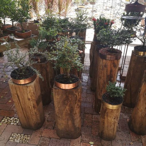 Los troncos como adorno decorativo